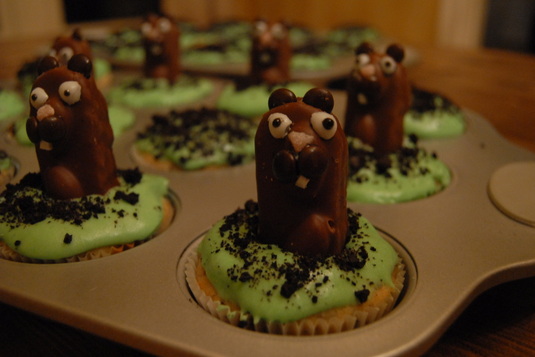 Groundhogs day cupcakes 3