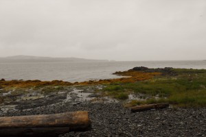 11 Disney Alaska Cruise Ketchikan Totem Bight State Historical Park | domesticated-engineer.com