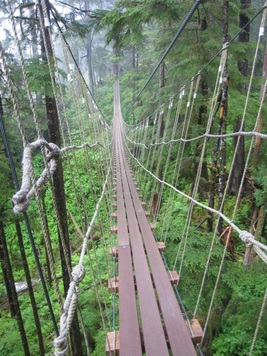 3 Disney Alaska Cruise Ketchikan zip-line| domesticated-engineer.com