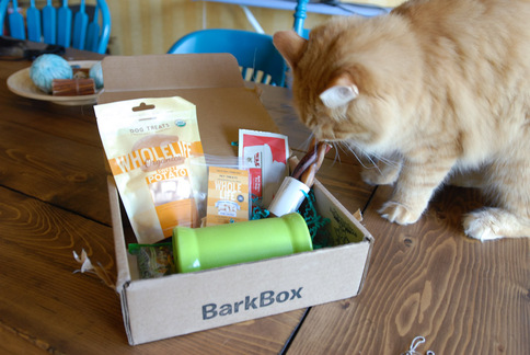 BarkBox Review September 2012