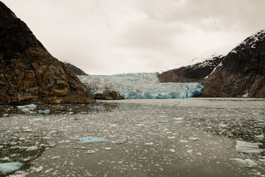 Disney Alaska Cruise Sawyer Glacier Tracy Arm