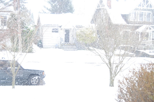 Seattle snow