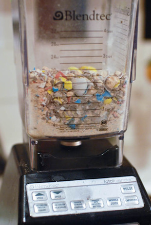 Robins Eggs in Blendtec blender