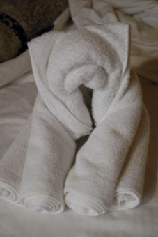 Disney Cruise Towel animal