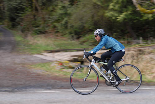 robins egg cookies 2